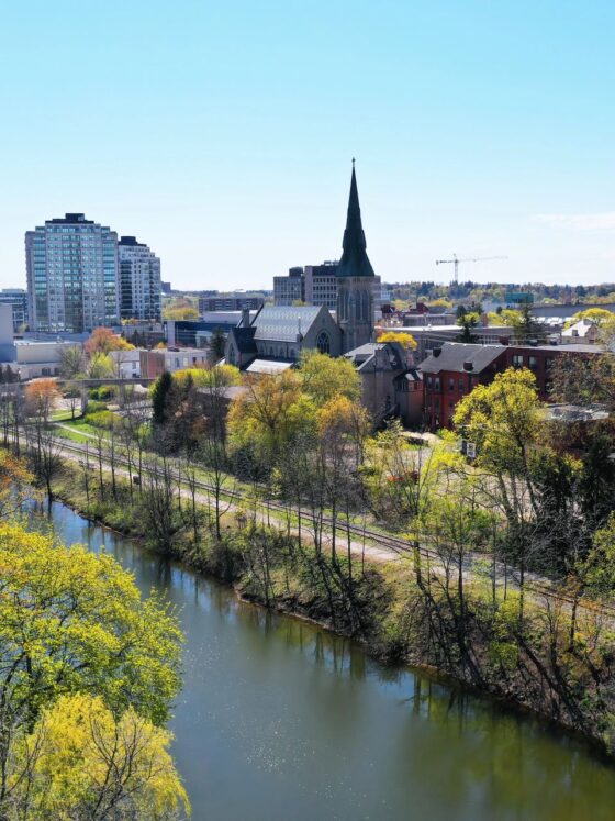 The Essential Guide to Selecting a Business Coach